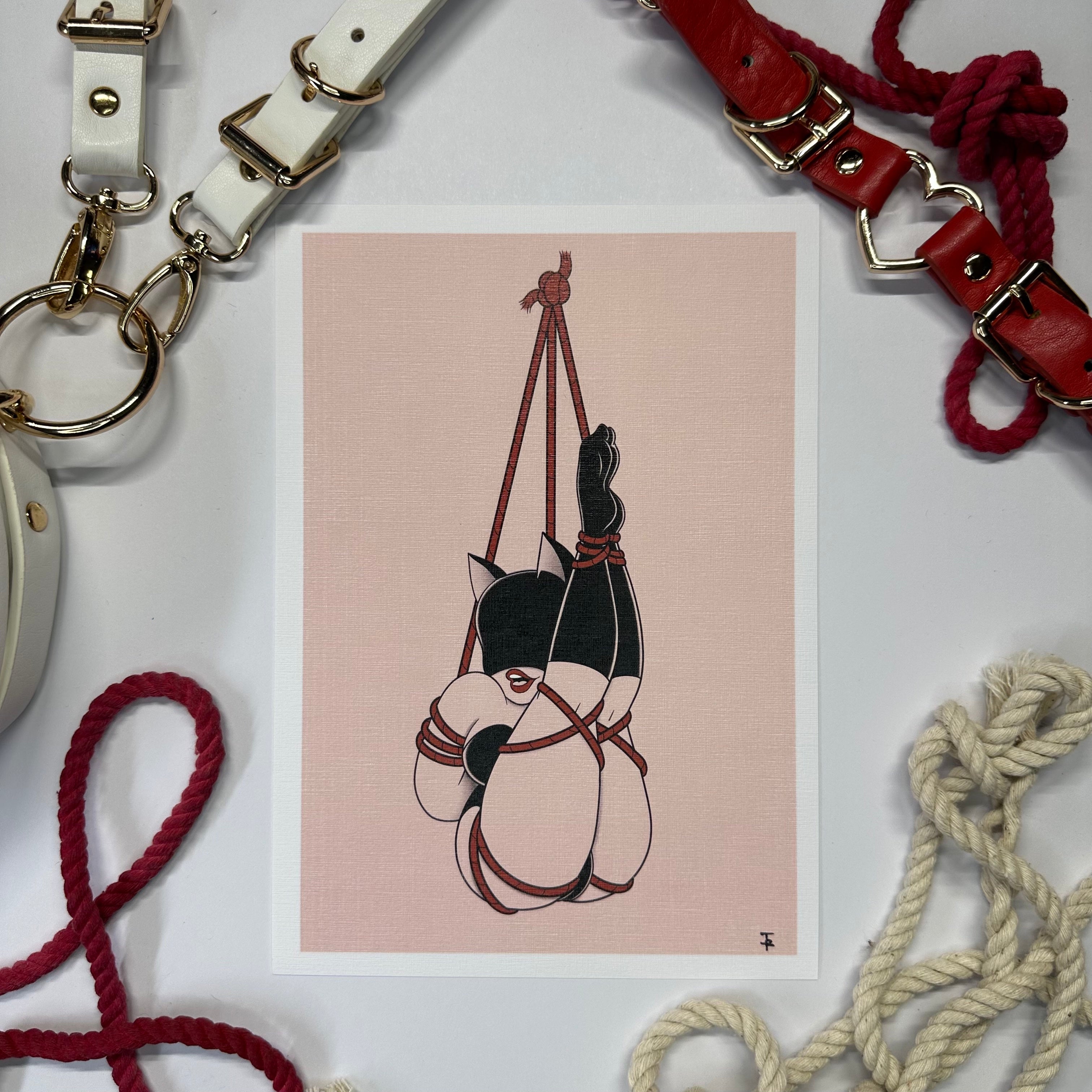 Rope Me Up #11